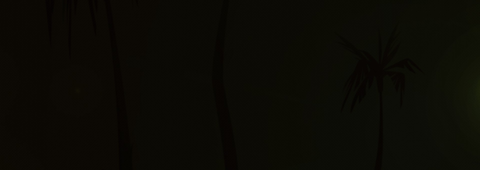 banner image